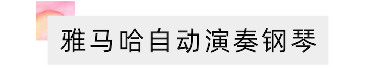 活动报道 | “科技助力，跨越时空”，小鹿纯子携手刘明康共享中日音乐盛宴